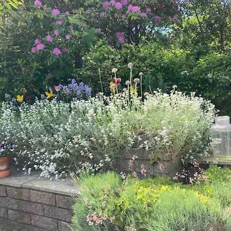 Hel I Med Flott Utsikt Og 4 Soverom *